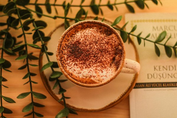 Chaussettes pour homme : guide du style ultime