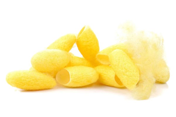 Le confort avant tout : Découvrez l'art de la robe de chambre cocooning