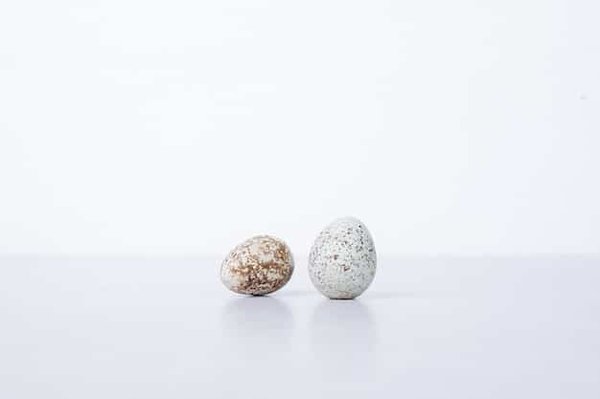 Quels sont les pouvoirs des œufs en pierre ?